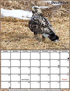 December 2021 Calendar - South Dakota Birds and Birding