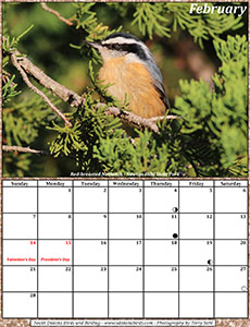 February 2021 Calendar - South Dakota Birds and Birding