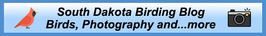 South Dakota Birds and Birding Blog