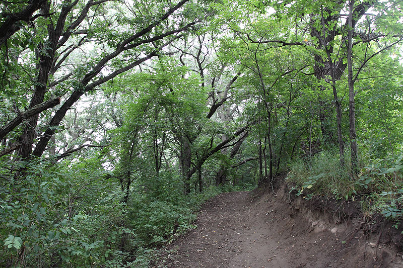 Big Sioux Recreation Area - South Dakota Birding "Hotspot"