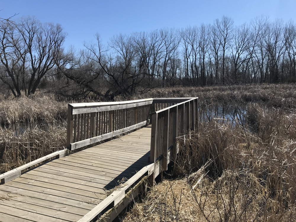 Dakota Nature Park - Wetland Boardwalks