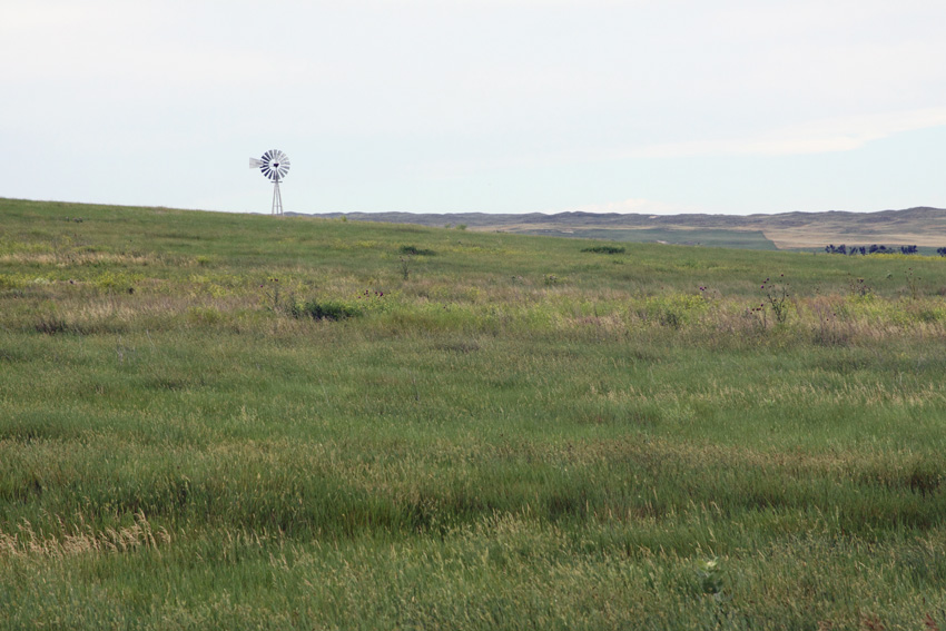 LaCreek National Wildlife Refuge - Grasslands and Prairie Dogs