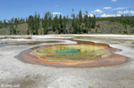 Chromatic Pool - Yellowstone
