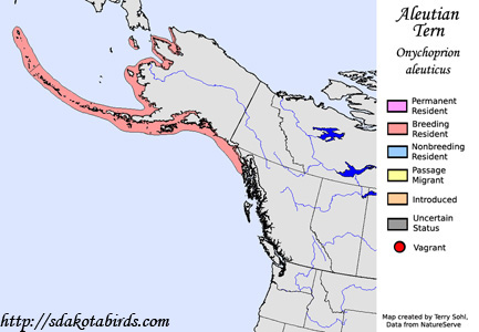 Aleutian Tern - Range Map