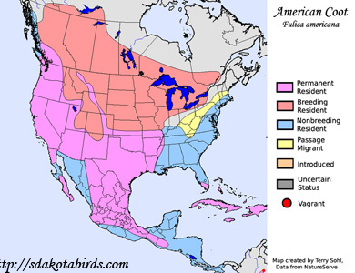 Range Map - American Coot