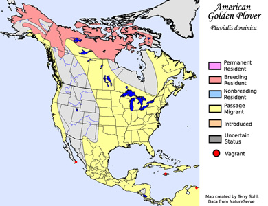 Range Map - American Golden Plover