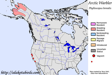 Arctic Warbler - Range Map