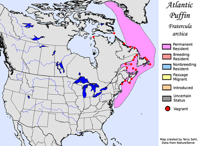 Atlantic Puffin - Range Map