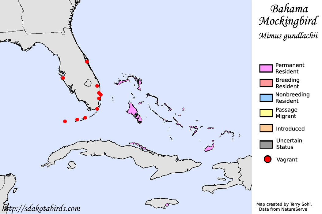 Bahama Mockingbird - North American Range Map
