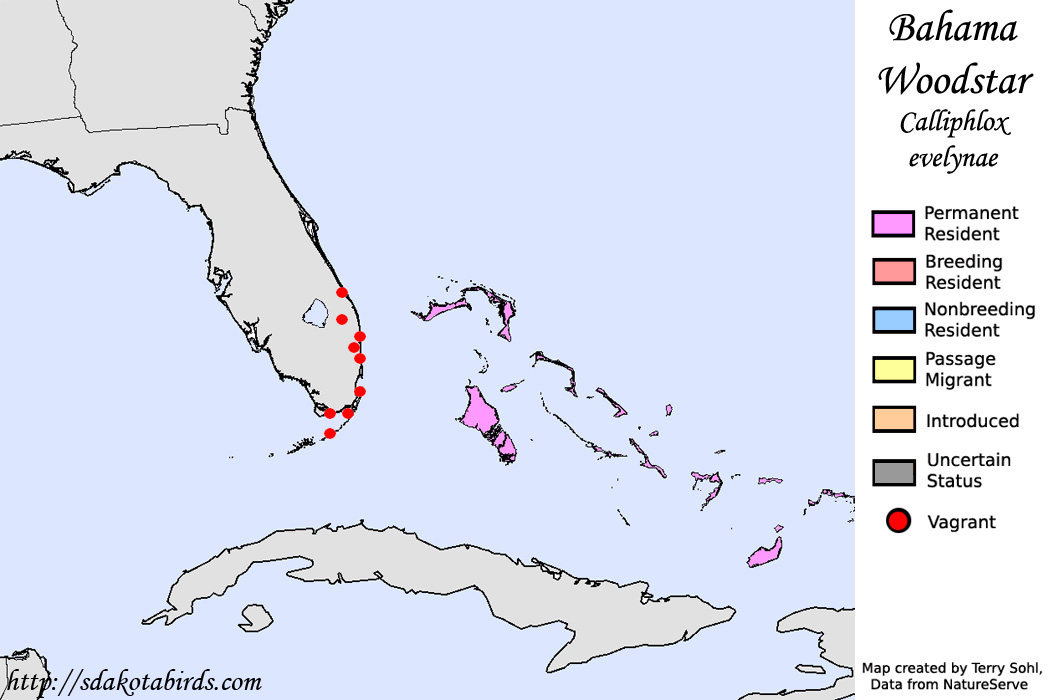 Bahama Woodstar - North American Range Map