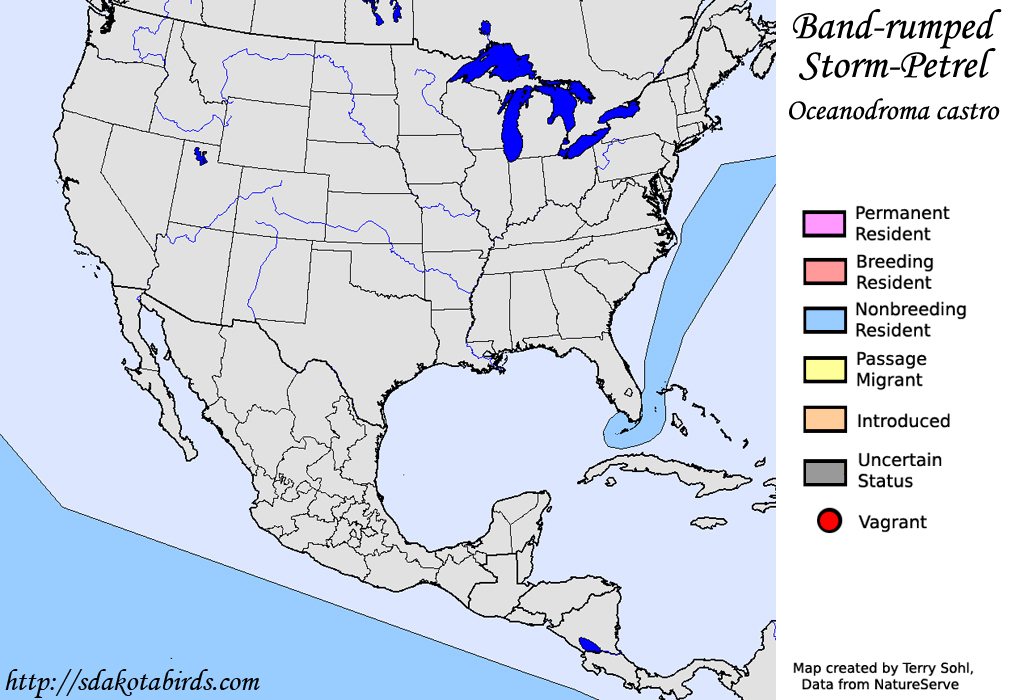 Band-rumped Storm-Petrel - North American Range Map