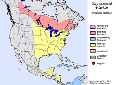 Bay-breasted Warbler - Range map