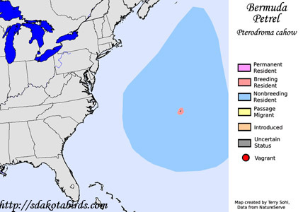 Bermuda Petrel - Range Map