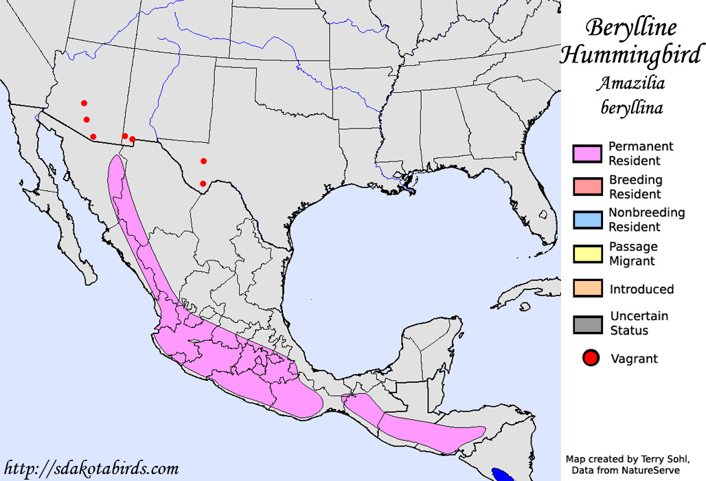 Berylline Hummingbird - North American Range Map