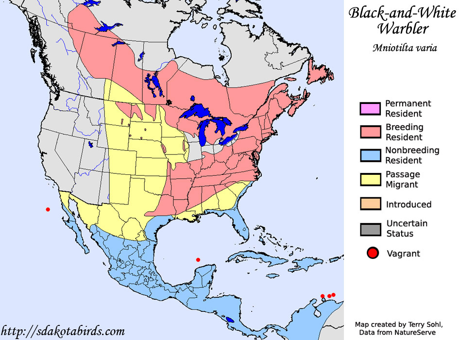 Black-and-white Warbler - Range Map