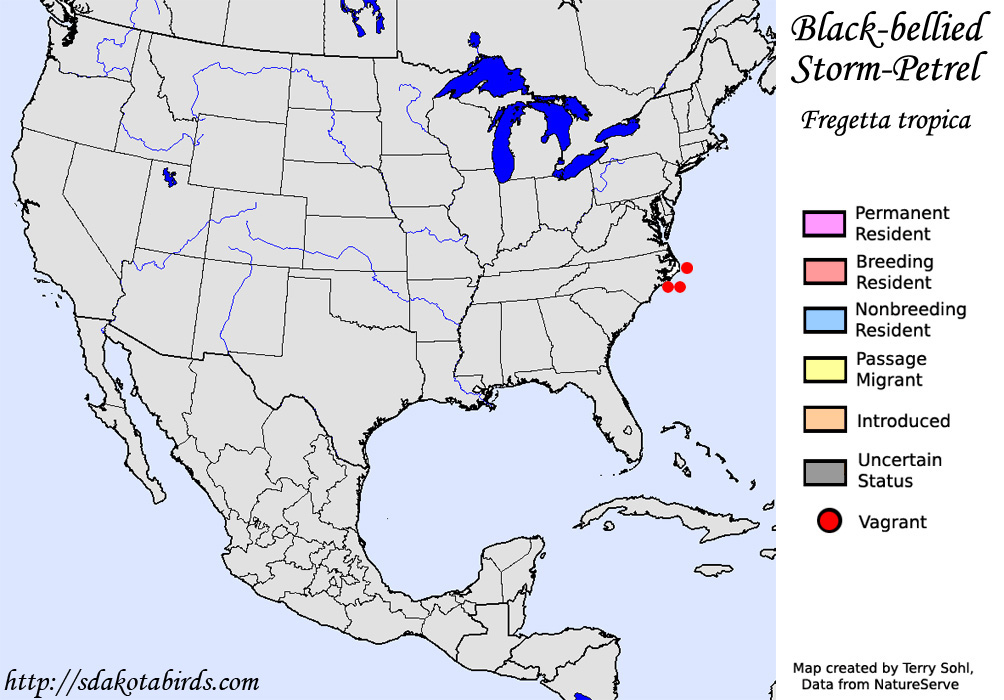 Black-bellied Storm-Petrel - North American Range Map