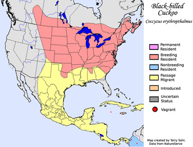 Black-billed Cuckoo - Range Map