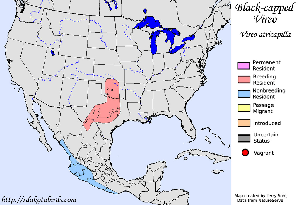 Black-capped Vireo - North American Range Map