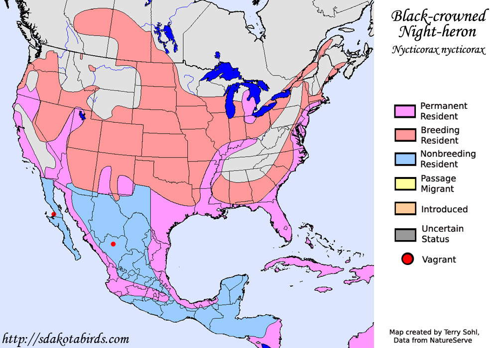Black-crowned Night-heron - Range Map