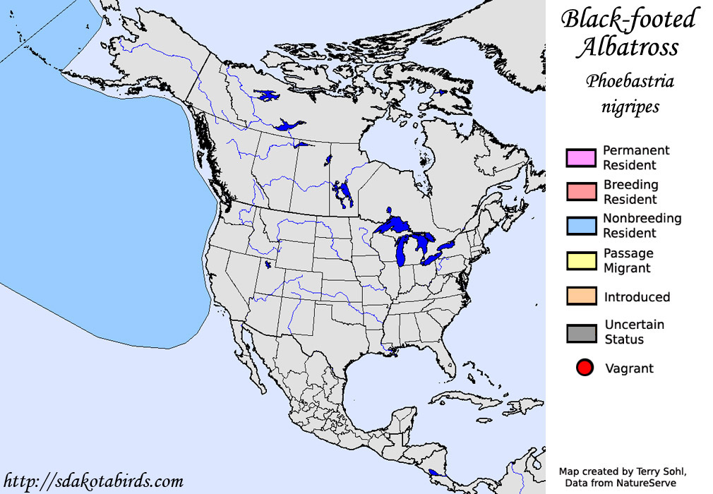 Black-footed Albatross - North American Range Map