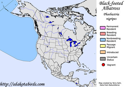 Black-footed Albatross - Range Map