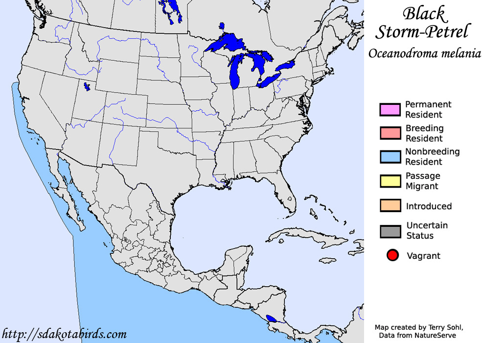 Black Storm-Petrel - North American Range Map