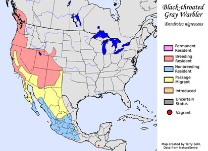 Black-throated Gray Warbler - Range Map