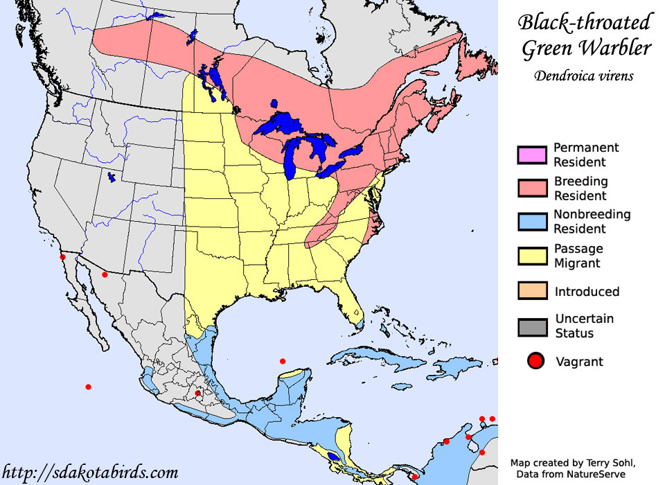 Black-throated Green Warbler - Range Map