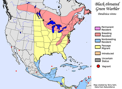 Black-throated Green Warbler - Range map