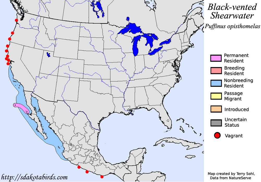 Black-vented Shearwater - North American Range Map