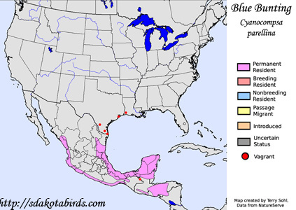 Blue Bunting - Range Map