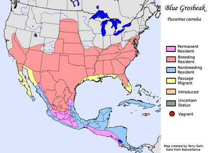 Blue Grosbeak - Range Map
