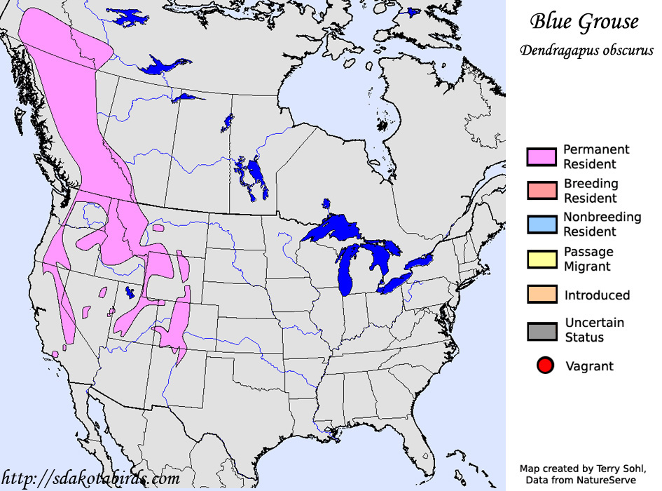 Blue Grouse - Range Map