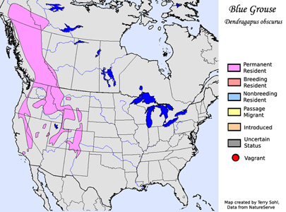 Blue Grouse - Range map