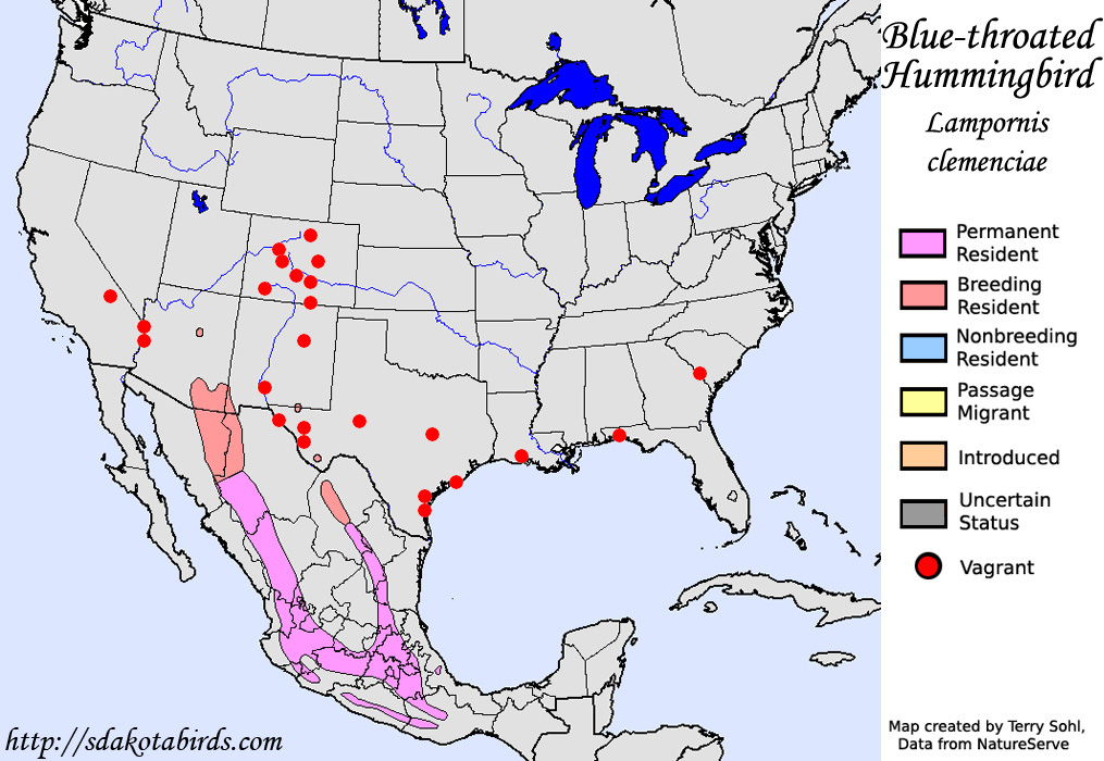 Blue-throated Hummingbird - North American Range Map