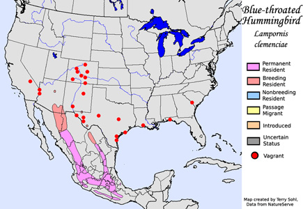 Blue-throated Hummingbird - Range Map
