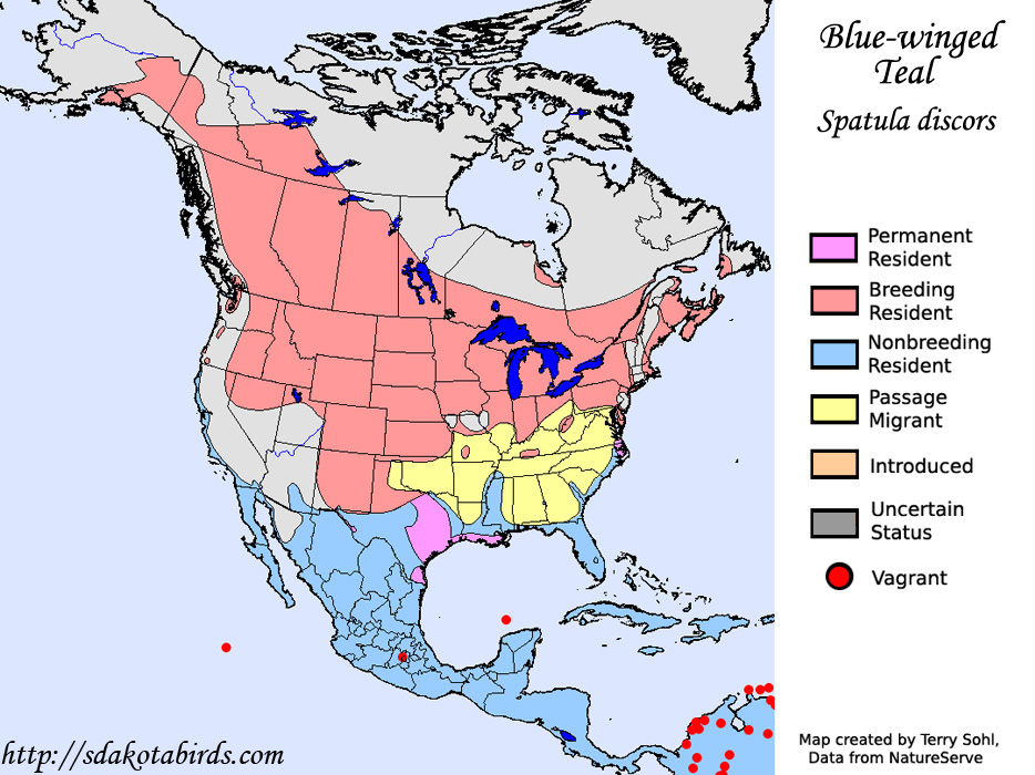 Range Map - Blue-winged Teal
