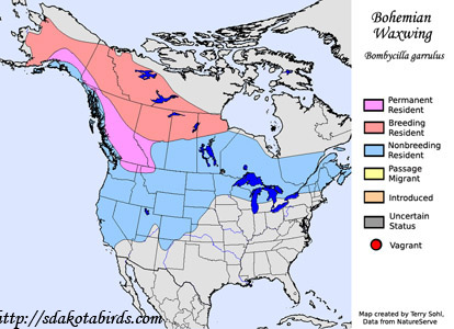 Bohemian Waxwing - Range Map