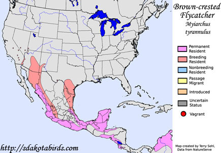 Brown-crested Flycatcher - Range Map