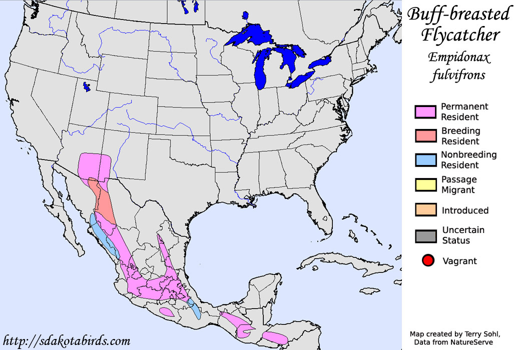 Buff-breasted Flycatcher - North American Range Map