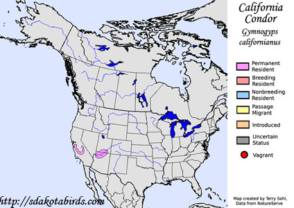 California Condor - North American Range Map