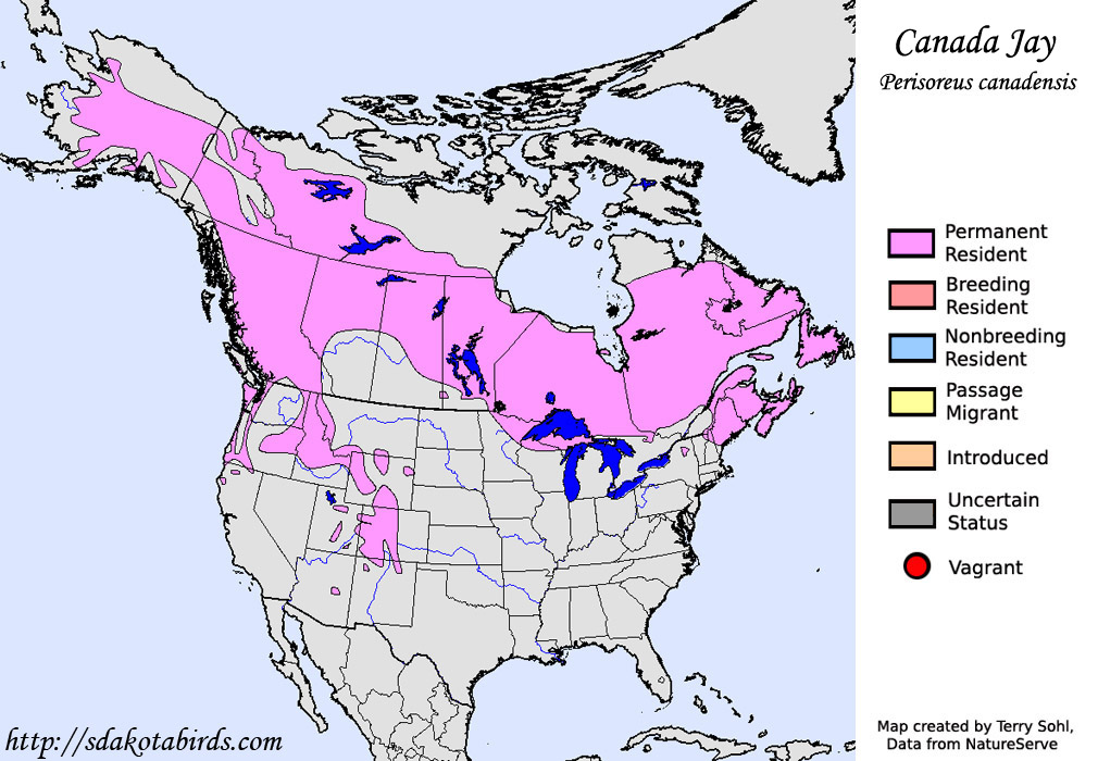 Canada  jay - Perisoreus canadensis - Range Map