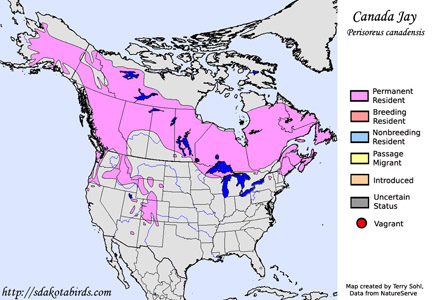Canada Jay - Perisoreus canadensis - Range Map