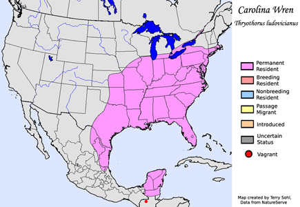 Carolina Wren - Range Map