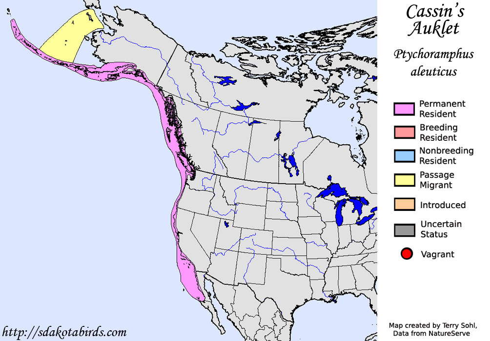 Cassin's Auklet - North American Range Map