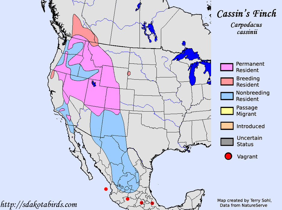 Cassin's Finch - Species Range Map