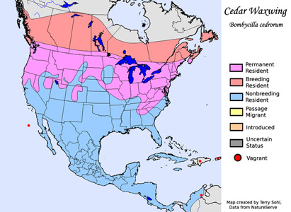 Cedar Waxwing - Range Map