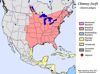 Chimney Swift - Range Map