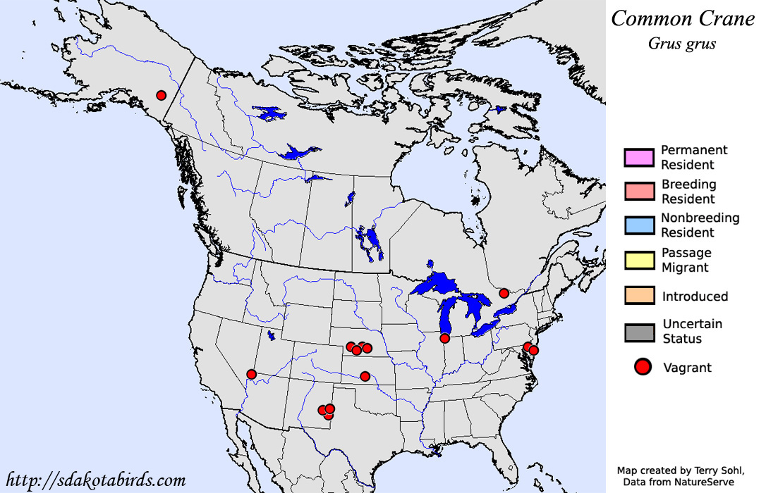 Common Crane - North American Range Map