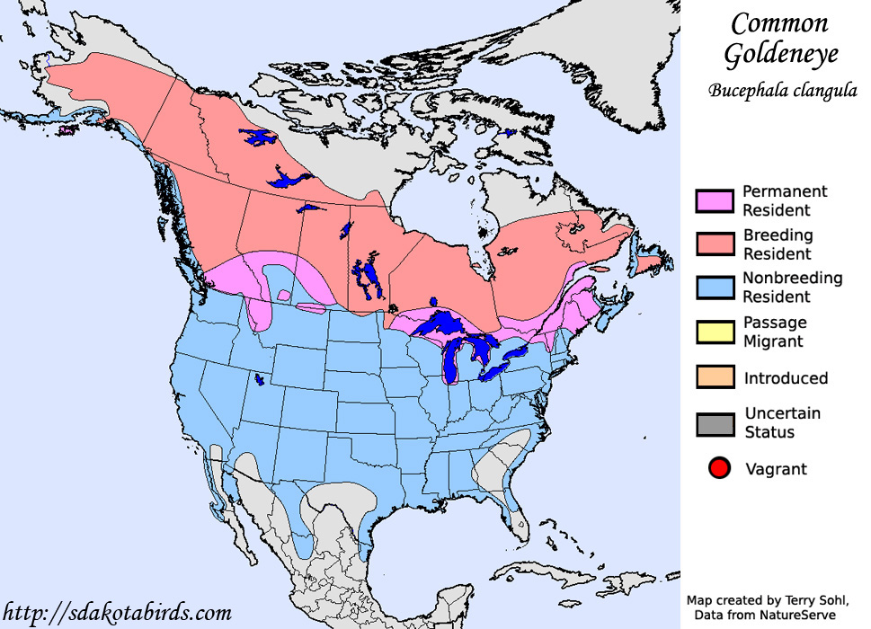 Range Map - Common Goldeneye
